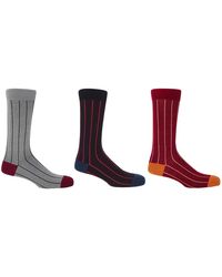Peper Harow - Made in England - Ash, & Crimson Pin Stripe Socks - Lyst