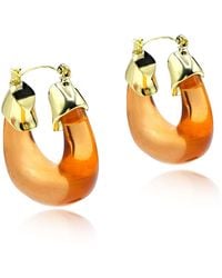 Michael Nash Jewelry - Winslow Topaz Resin And Hoop Earrings - Lyst