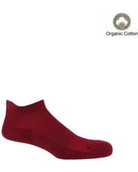 Peper Harow - Made in England - Organic Trainer Socks Bundle – Burgundy - Lyst