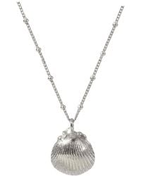 Dainty London - Dainty Seashell Necklace - Lyst