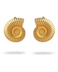 Ebru Jewelry - Golden Spiral Seashell Earrings - Lyst