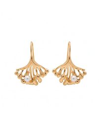 Angel Barocco - Ginkgo Leaf Pearl Earrings - Lyst