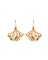 Angel Barocco - Ginkgo Leaf Pearl Earrings - Lyst