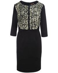 Conquista - Straight Dress With Animal Print Detail - Lyst