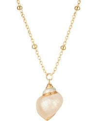 My Little Nature - Seashell Necklace With Plated Chain - Lyst
