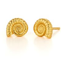 Nellou Jewellery - Ammonite Stud Earrings Plated Sterling - Lyst