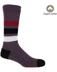 Peper Harow - Made in England - Striped Organic Sport Socks – Mauve - Lyst