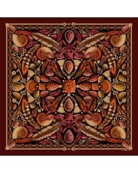 Emily Carter - The Feather Baroque Scarf - Lyst