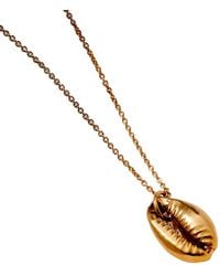Posh Totty Designs - Cowrie Shell Necklace - Lyst