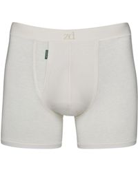 Zd - Zero Defects - Neutrals Heracles Fly Front Boxer – Maximum Softness For Sensitive Skin - Lyst