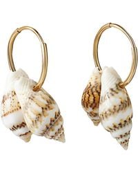 Tama Tokyo - Limited Edition Hoop Earrings With Natural Japanese Nassa Shells - Lyst