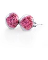 My Little Nature - Stud Earrings With Baby Moss - Lyst