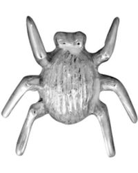 Edge Only - Striped Bug Pin Sterling - Lyst