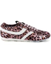 Keith Scarrott Shoes - Sottile Leopard Trainer - Lyst