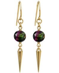 Rachel Nathan - Fancy Hook Tiger's Eye Coin Earring - Lyst