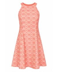 Conquista - Coral Lace Fit & Flare Dress - Lyst