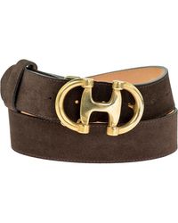 Peachy Belts Ltd - Suede Belt & Detachable Brass Double D Buckle - Lyst