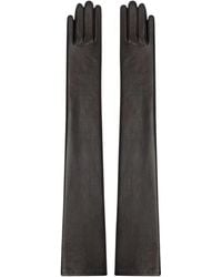 HIGH HEEL JUNGLE by KATHRYN EISMAN - Anya Lambskin Leather Opera Gloves - Lyst