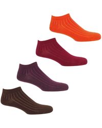 Peper Harow - Made in England - Four Pack Essential Trainer Socks – Sunset - Lyst