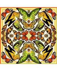 Emily Carter - The Tropical Butterfly Silk Scarf - Lyst
