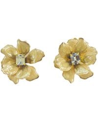 The Pink Reef - Small Golden Sun Jewel Box - Lyst
