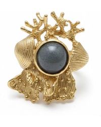 Silver & Elegant Co. - Statement Coral Bronze Ring - Lyst