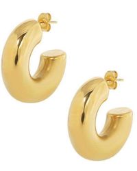 Bermuda Watch Company - Annie Apple Estelle Stainless Steel Chubby Hoop Earrings - Lyst