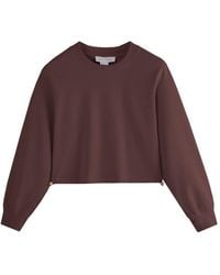 Supesu - Cubby Sweater, Cropped - Lyst