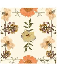 Baines London - 'Radiant' Cream Peach Warmth Pure Silk Floral Scarf - Lyst