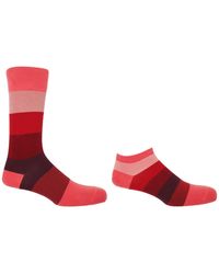 Peper Harow - Made in England - Block Stripe Fire Luxury Crew & Trainer Socks Bundle - Lyst