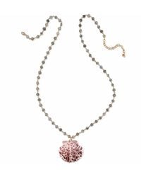 Heather Hawkins Jewelry - Extra Long Scallop Shell Coin Gemstone Necklace - Lyst