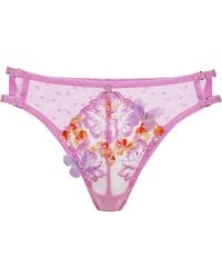 Empress Mimi - Madame X Lace Hipster With Butterfly Detail - Lyst