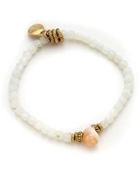 Adriana Pappas Designs - Mini Shell Stretch Bracelet - Lyst