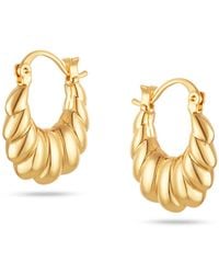 Arctic Fox & Co. - Marni Twisted Hoop Earrings - Lyst