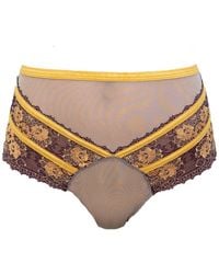 Carol Coelho - Babylon Exquisite Highwaisted Lace & Tulle Panty - Lyst