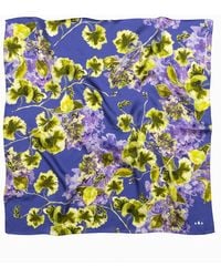 RainSisters - Medium Floral Natural Silk Scarf - Lyst