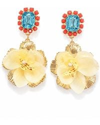 The Pink Reef - Vanda Orchid Gem Drop - Lyst