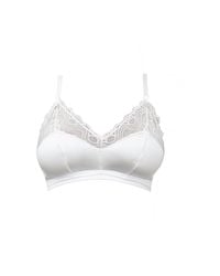 Carol Coelho - Spider's Web Satin & Lace Bralette - Lyst