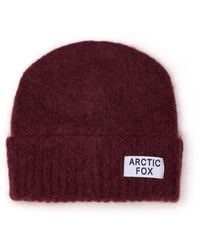 Arctic Fox & Co. - The Mohair Beanie - Lyst