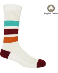 Peper Harow - Made in England - Organic Striped Sport Socks Bundle - Lyst