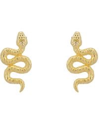 LÁTELITA London - Coiled Cobra Snake Stud Earrings - Lyst