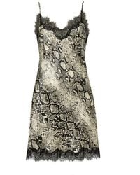 SAINTED SISTERS - Scarlett Ivory Snake Chemise - Lyst
