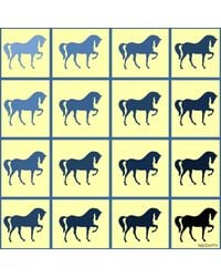 Neightiv - Dressage Rhythm Large Scarf - Lyst