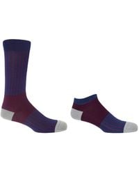 Peper Harow - Made in England - Oxford Stripe Luxury Crew & Trainer Socks Bundle - Lyst