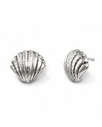Gold & Honey - Textured Seashell Stud Earrings - Lyst