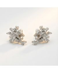 Dainty London - Dainty Saltwater Coral Stud Earrings - Lyst