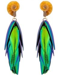 Oana Savu - Beetle Earrings Ear Studs Natural Recycled Wings Small Ammonite Fossils - Lyst