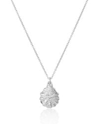 Auree - Gaia Oyster Shell And Pearl Necklace - Lyst