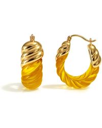 Gold & Honey - Citrine Rope Shrimp Lucite Birthstone Hoop Earrings - Lyst