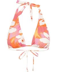Wild Lovers - Peachy Bikini Top - Lyst